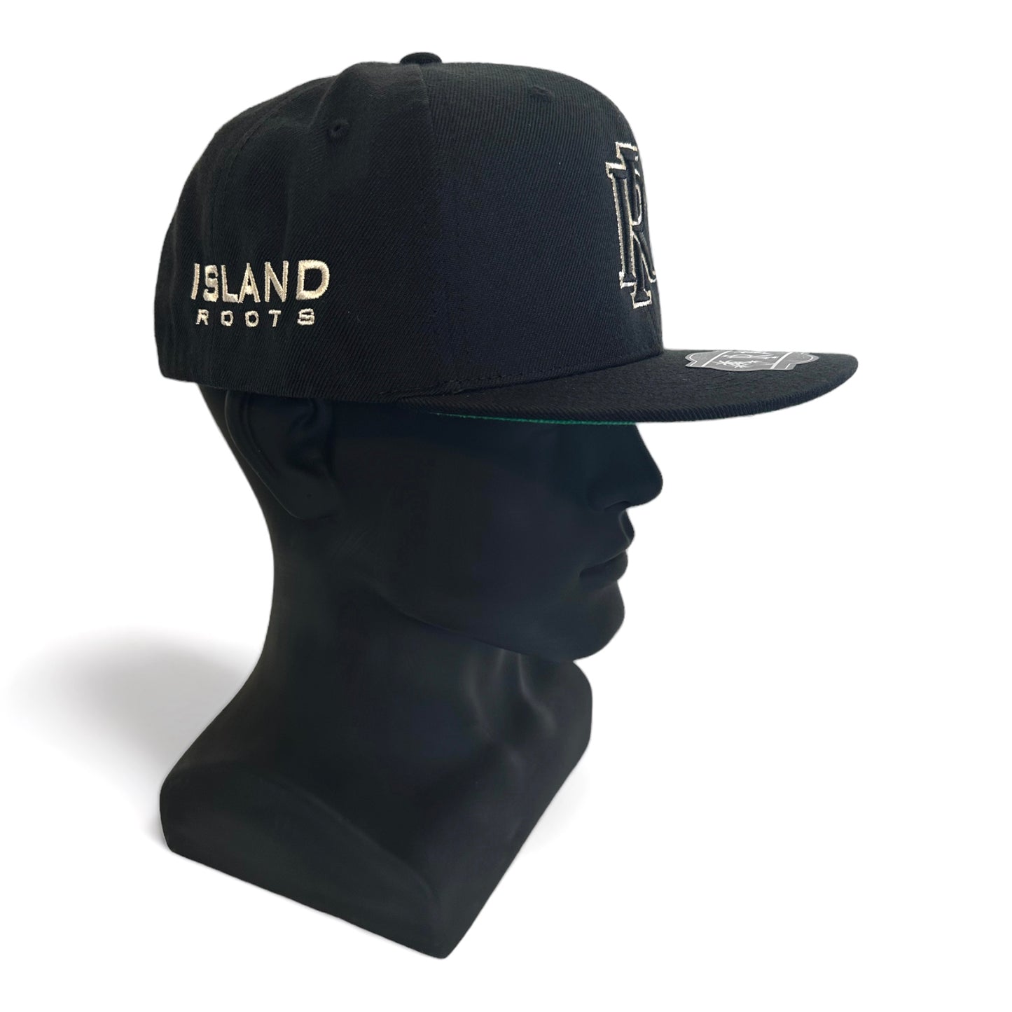 OG IR Snapback Hat