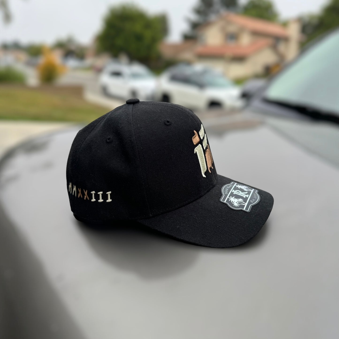 IR Slash Snapback
